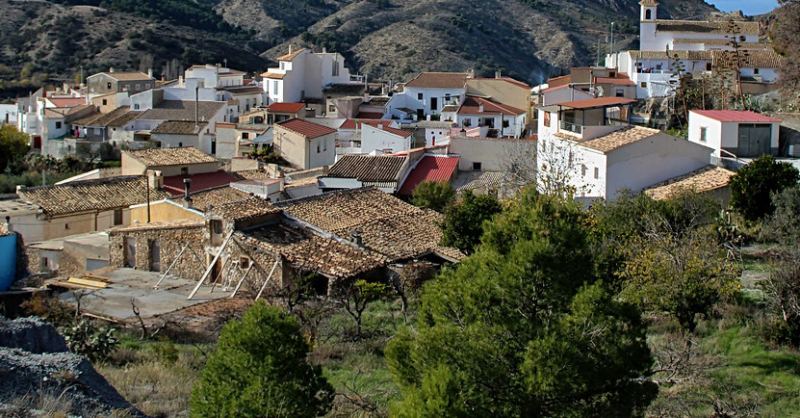 Bayarque