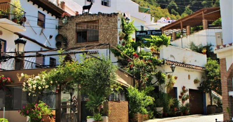 Alcaucín