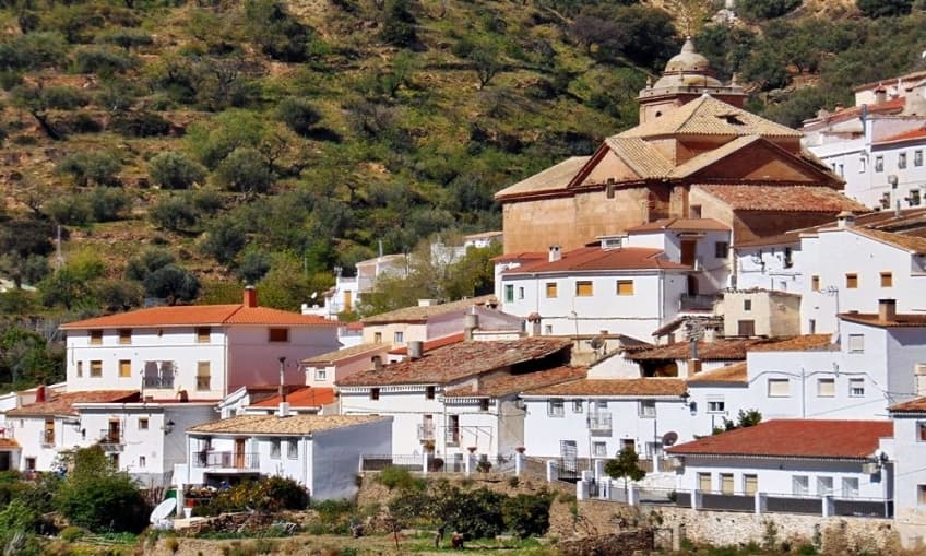 Laroya