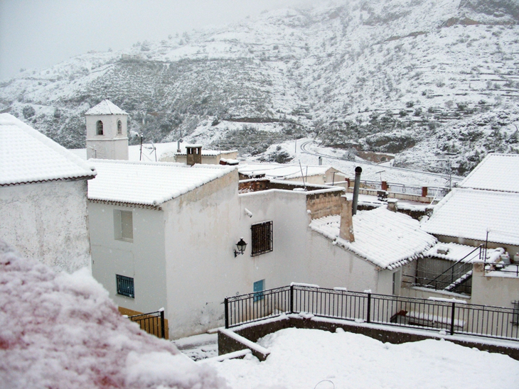 Cóbdar