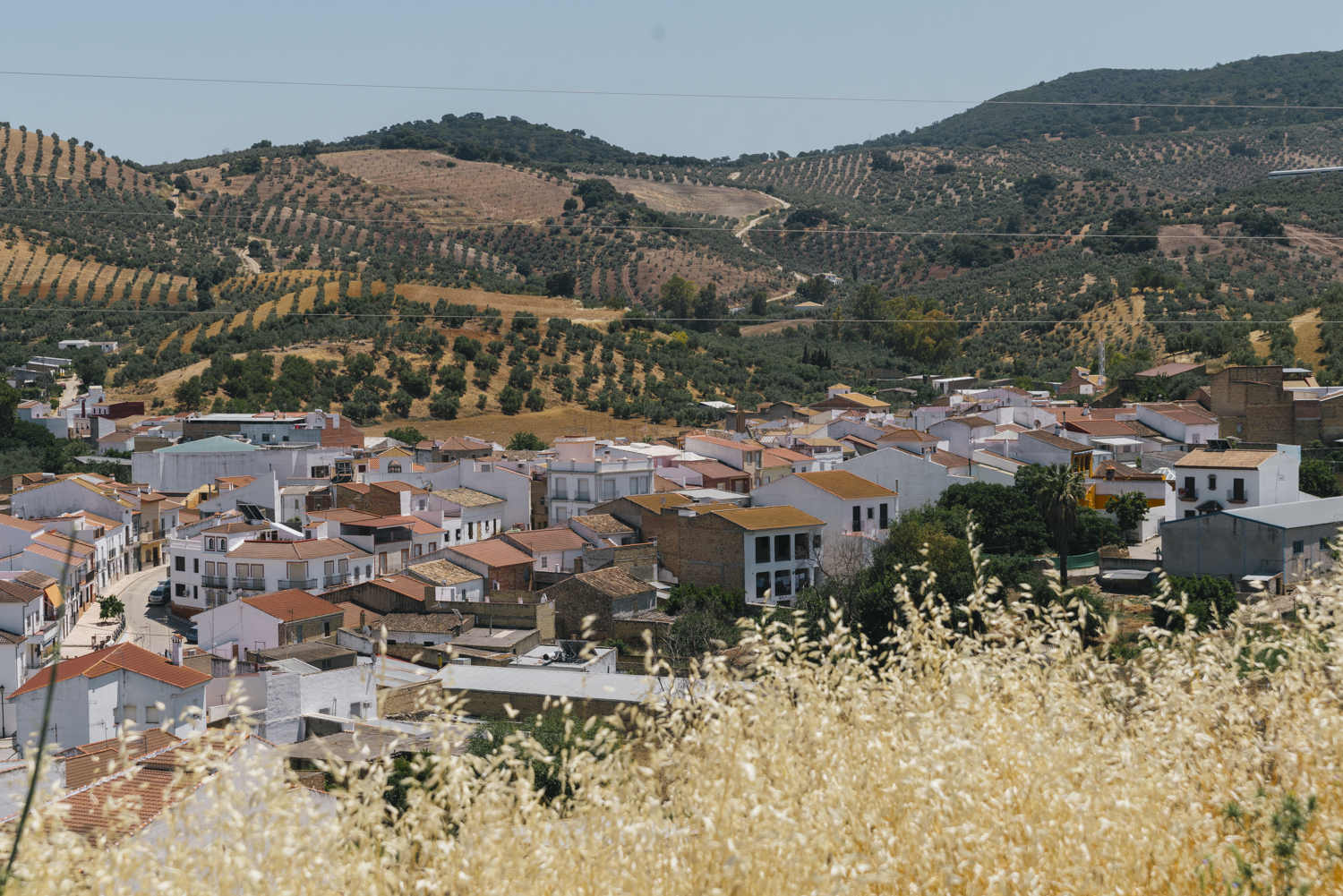 Algámitas