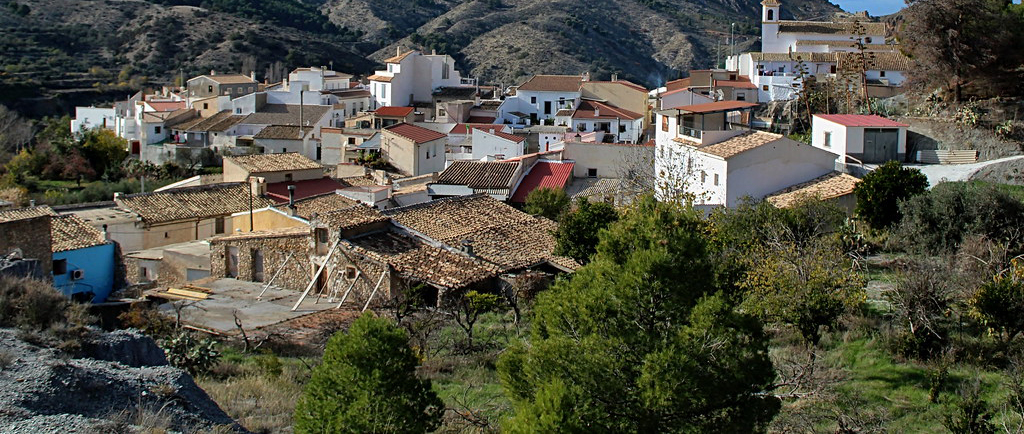 Bayarque