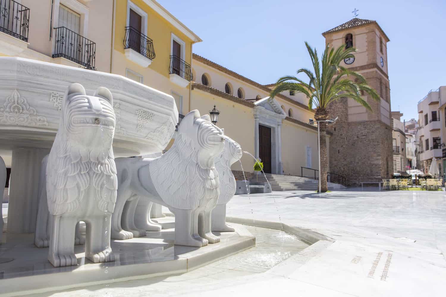 Macael