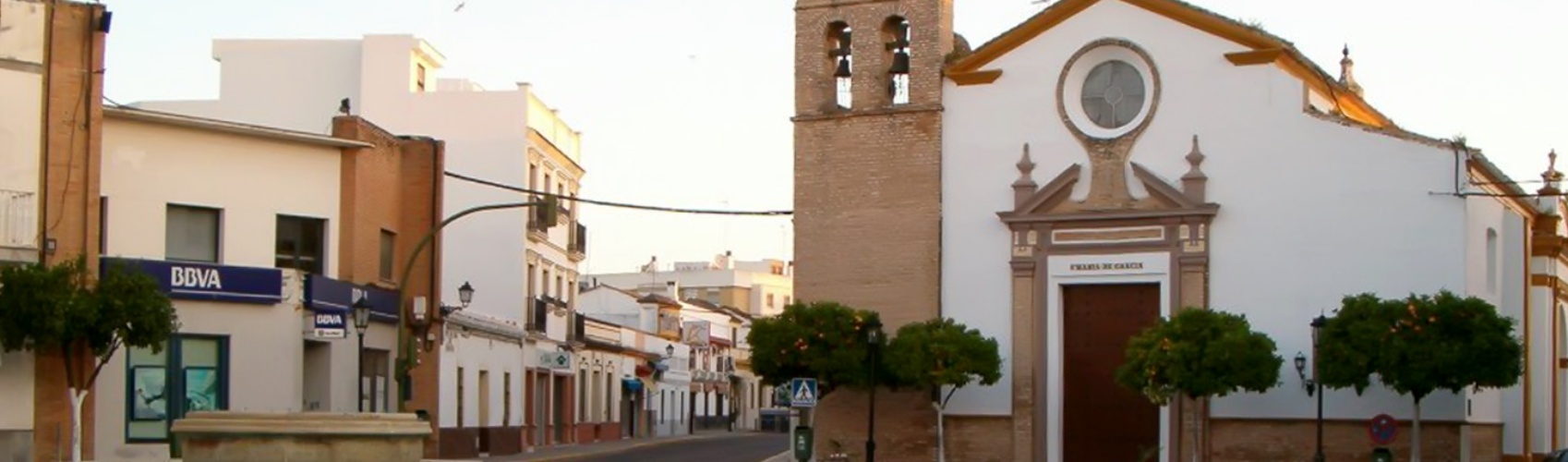 Camas