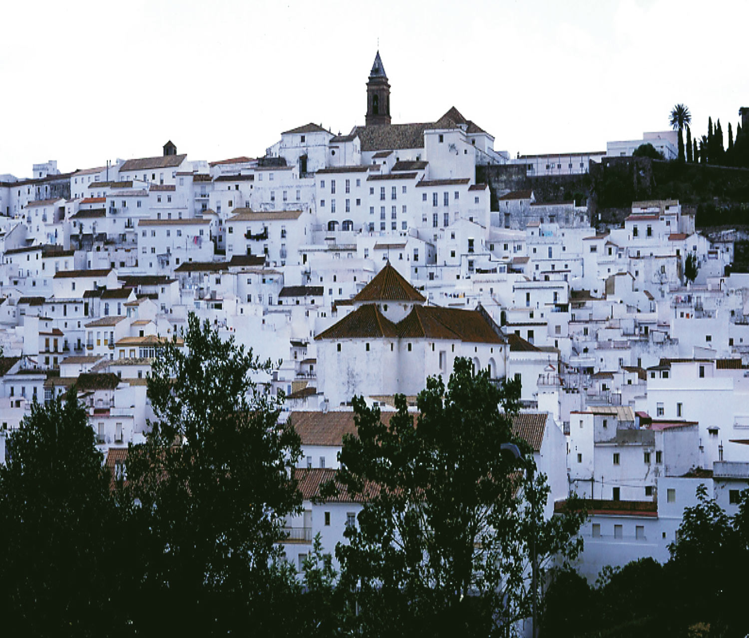 Alcalá de los Gazules